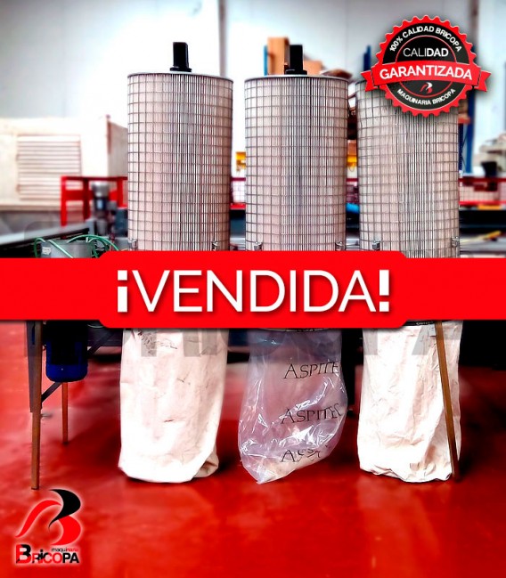 ASPIRADOR 3 SACOS DE OCASIÓN GUILLOT